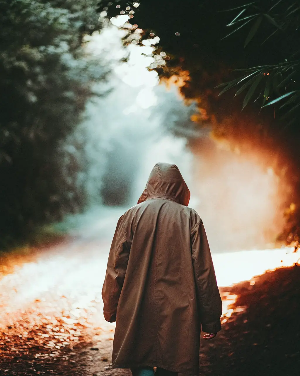 A traveller walking a path into the misty Amazon rainforest at first light